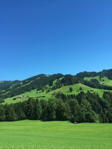 istock Hiking Mountains Summer Switzerland 828741336