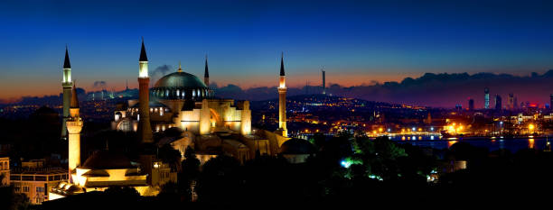 istock Panorama of Istanbul 828755342