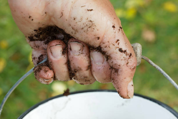 istock Cloddy hand of a farmer holding a bucket 828768490