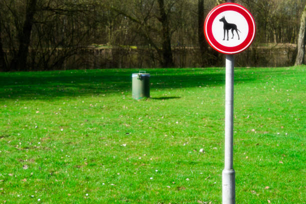 istock dogs not allowed traffic sign 828785842