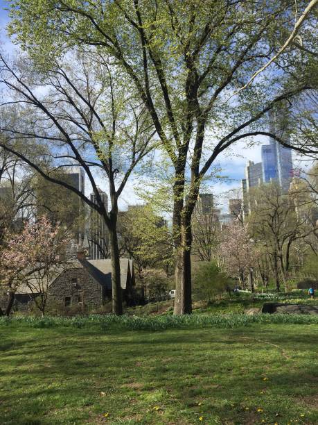 istock New York City Central Park 828797868