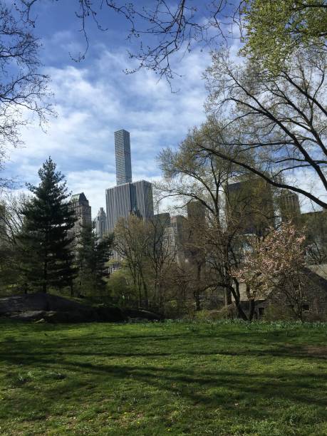 istock New York City Central Park 828797956