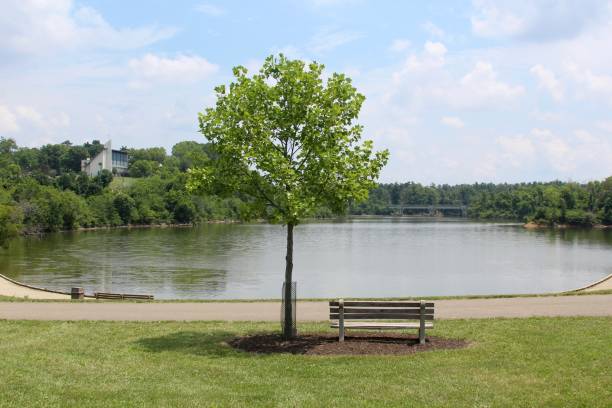 istock View of the Lake 828803732