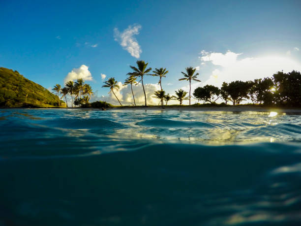 Grenadines Scenery, Floating on Water