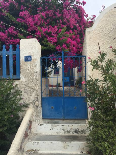 istock Santorini Flowers Romantic Island Greece 828819080