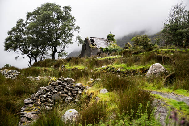 It was a wet day in the Black Valley Co. Kerry and the low Clouds are seen in the background of this Photo.