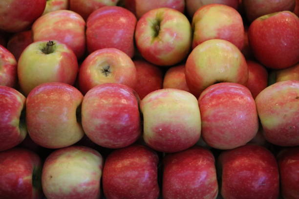 Apples Cripps Pink at the market in Fremantle, Western Australia stock photo