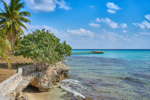 istock Best snorkeling spot in Mexico 828860790