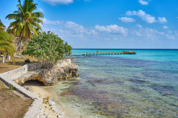 istock Best snorkeling spot in Mexico 828861076