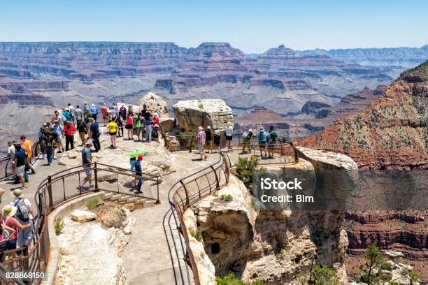 Visitors Enjoying Views Of Grand Canyon National Park Arizona Usa Stock Photo - Download Image Now