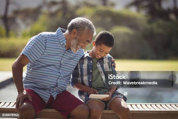 Grandson And Grandfather Using Mobile Phone Stock Photo - Download Image Now - Day, Grandfather, Person of Color