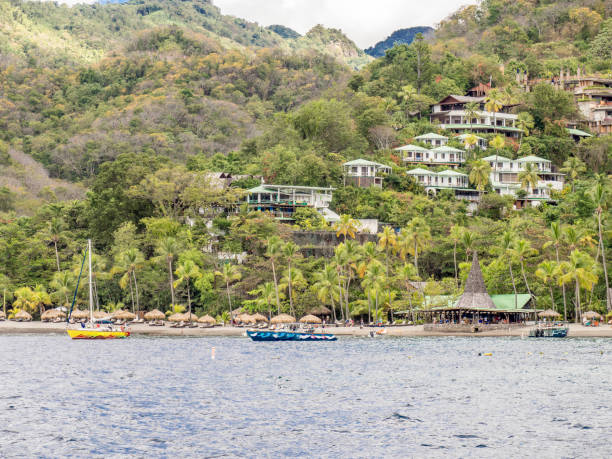 istock Shoreline of Saint Lucia 828894528