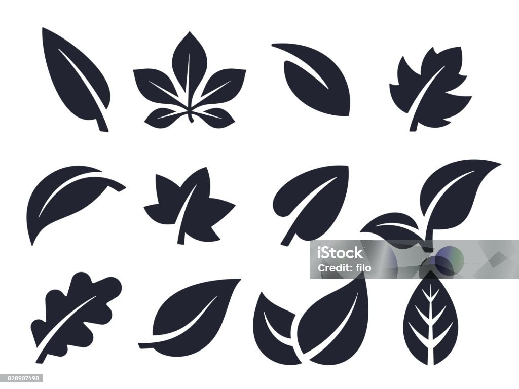Blatt-Icons und Symbole - Lizenzfrei Blatt - Pflanzenbestandteile Vektorgrafik