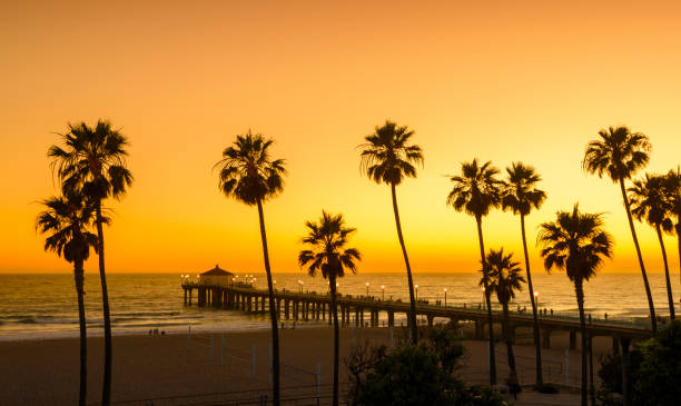 Manhattan Beach Pier at sunset, Los Angeles, California Manhattan Beach Pier at sunset, Los Angeles, California southern california palm trees stock pictures, royalty-free photos & images