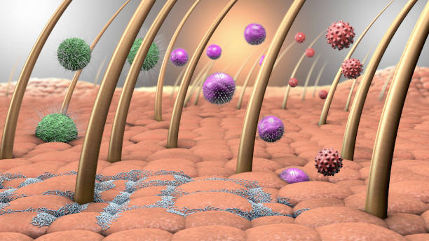 바이러스와 박테리아는 인간의 피부를 입력의 3d 그림 - dander 뉴스 사진 이미지