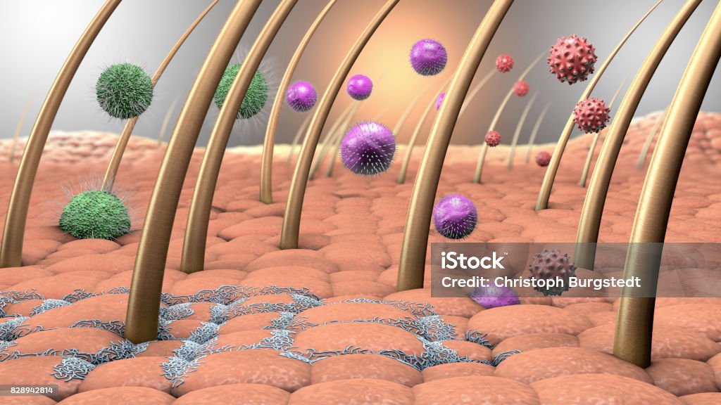 ilustração 3D dos vírus e bactérias entram na pele humana - Foto de stock de Pele royalty-free