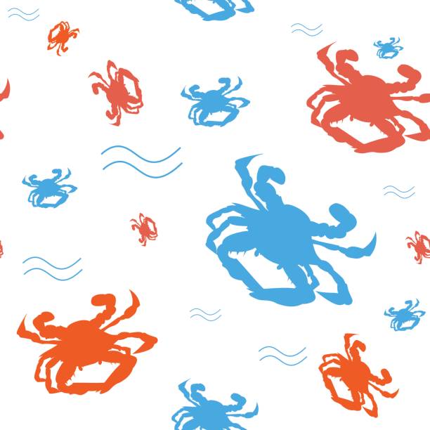 illustrazioni stock, clip art, cartoni animati e icone di tendenza di maryland blue crab seamless pattern. sfondo granchio blu baia di chesapeake. ottimo come modello di imballaggio in carta o per il materiale promozionale o la stampa del crab fest o del festival. - maryland blue crab