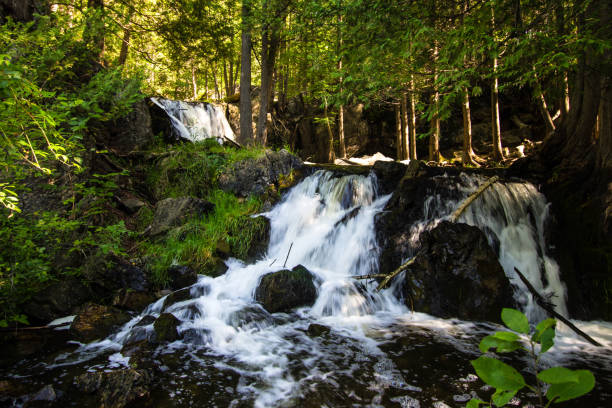 istock Waterfall In The Northern Michigan Forest 828978390