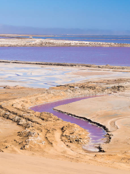 istock Salt pans in Walvis Bay, Namibia, Africa 828978912