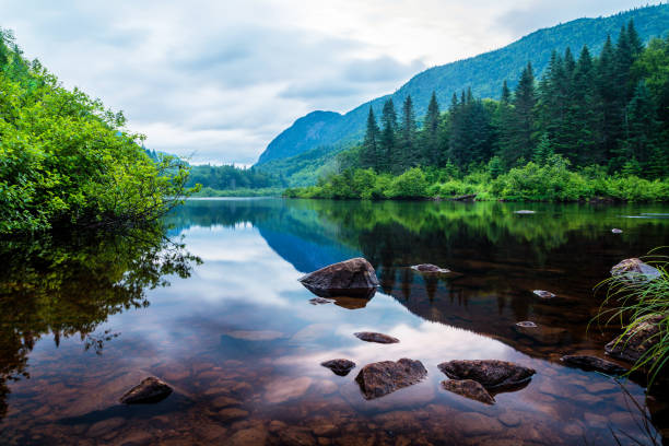 istock Beautiful landscape by mirror lake reflection colorful forest 828984216