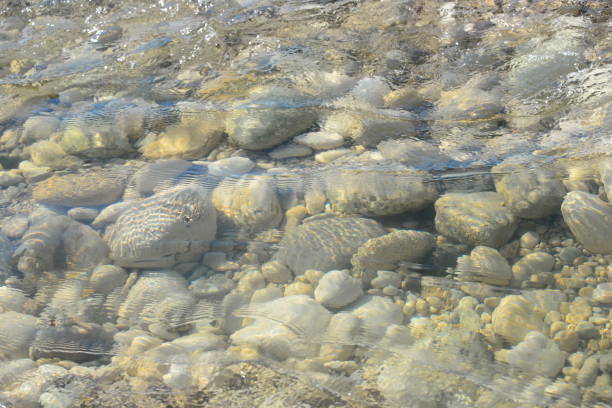istock Stones on the Mediterranean in Spain 828984688
