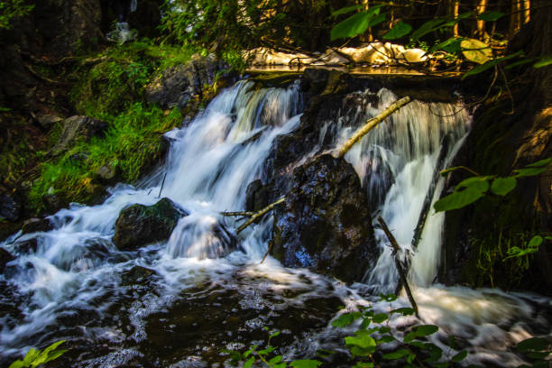 istock Waterfall In The Northern Michigan Forest 828990992