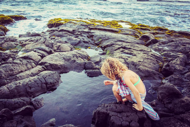 Exploring Tidepools Little girl in a bathing suit and sarong exploring the rocky coast and tidepools tidal pool stock pictures, royalty-free photos & images