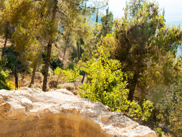 Trekking in Israel