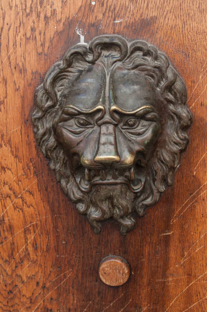 бронзовый лев на деревянной двери - door knocker door lion luxury стоковые фото и изображения