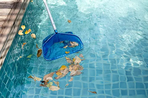 Who Should Do Swimming Pool Maintenance At Your Properties?, 56% OFF