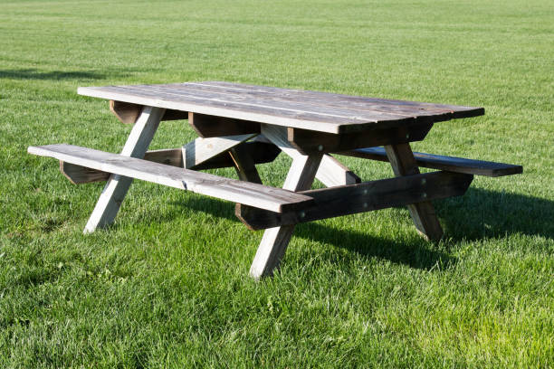 istock Wooden picnic bench on grass 829049844