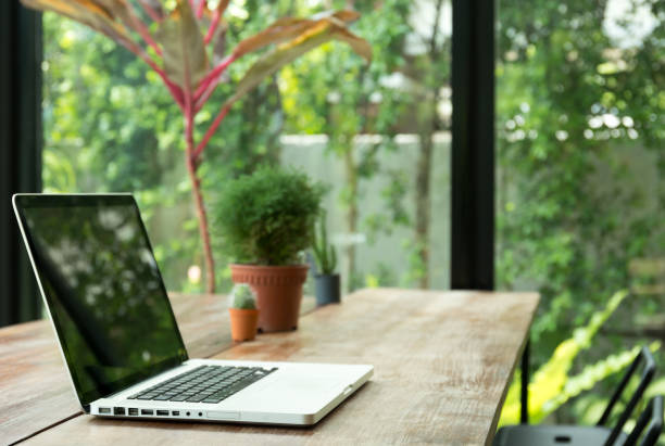 istock Blank laptop screen and plant on wooden 829051024
