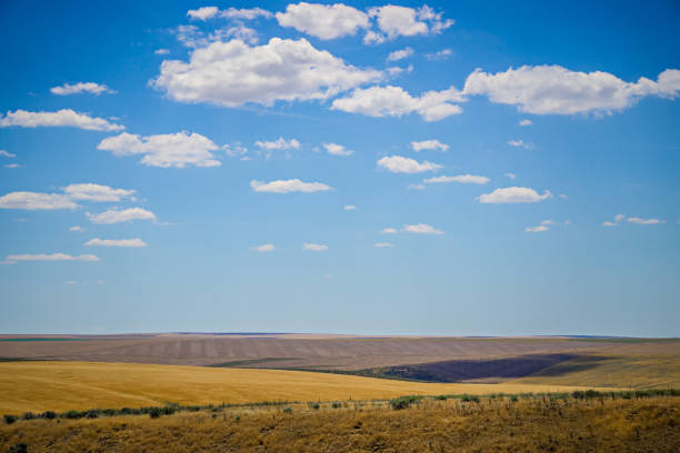 istock Eastern Washington state Landscapes and pastures on sunny day 829057674