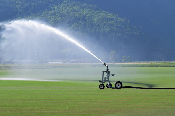 istock Travelling gun, crop sprinkler. 829139404