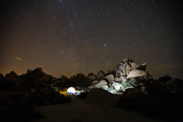 istock Joshua Tree National Park at night 829139614