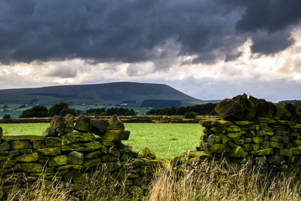 istock Stone wall on a farm in distance Pendle Hill 829144828