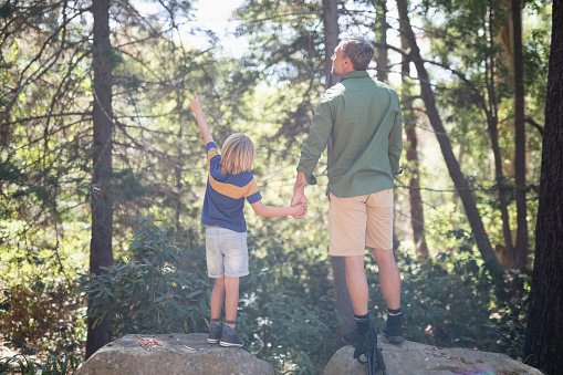 Rear view of boy pointing way while standing with father in forest