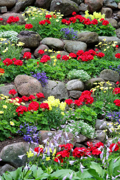 istock Rock Garden in Lutsen 2 829170806