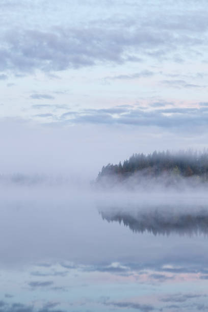 istock Calm foggy lake scape summer night 829179980