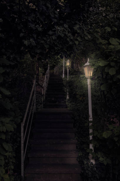 istock Illuminated staircase of a garden 829190930