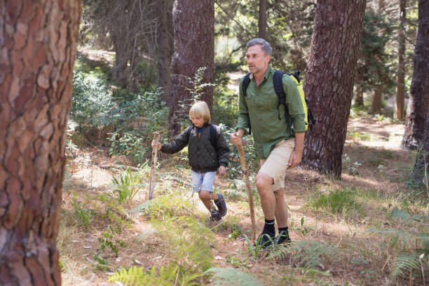 istock Father and son hiking in forest 829197308