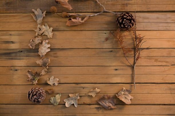 istock Overhead view of pine cone and dried leaves 829217442