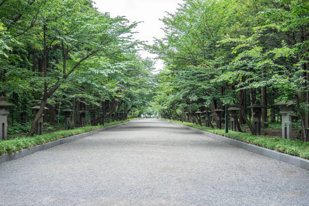 istock walk way in green park 829224654