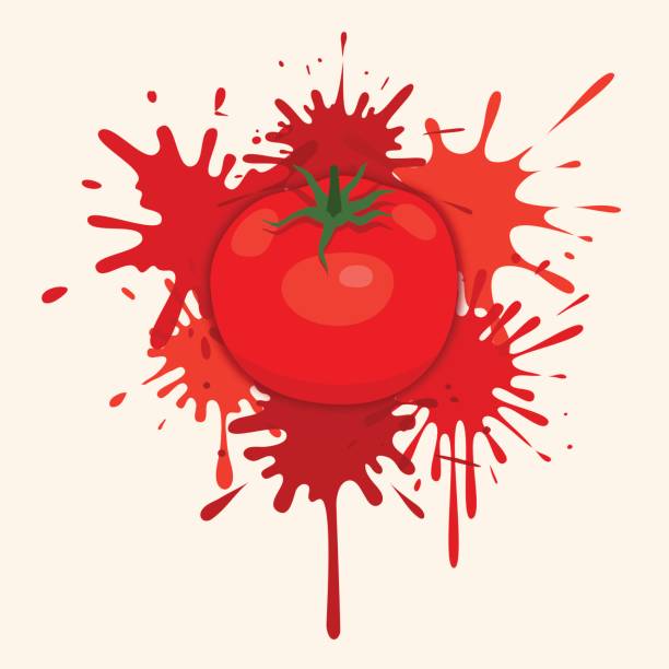 Bursting a tomato background vector art illustration