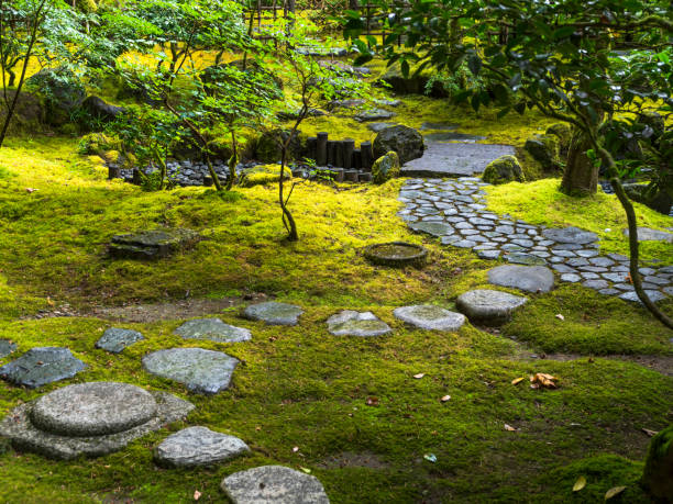 Green Moss Stone Steps Japanese Garden Oregon “CreativeContentBrief” 700060701 Greenery Looking at stone steps with intense green moss and bushes. Located in the Portland Japanese Garden in Portland, Oregon. portland japanese garden stock pictures, royalty-free photos & images