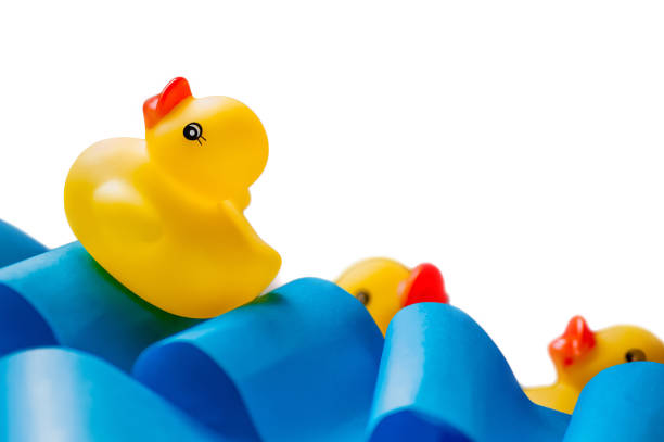 istock Three toy ducks in the sea on white background 829237126