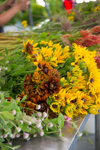 istock Flower farm fresh picked flowers 829244996