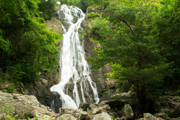 istock Beautiful waterfalls in the green forest. 829252912
