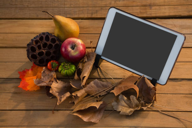 istock Plant pod with fruits by tablet computer 829264710