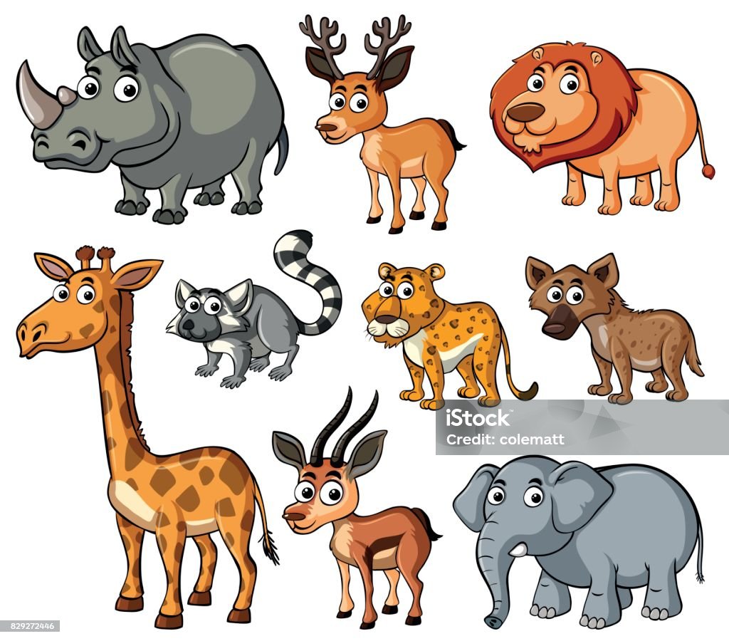 Different Kinds Of Wild Animals Stock Illustration - Download Image Now -  Animal, Animal Wildlife, Art - iStock